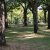 campingyuste (7)